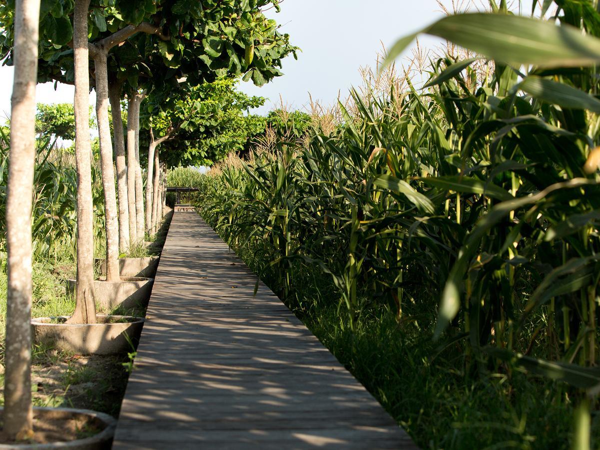 Sanur Residence Bagian luar foto